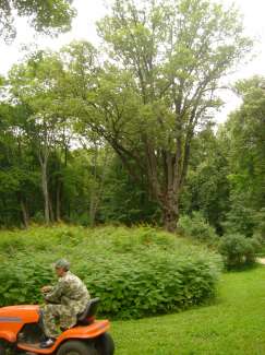 DSC05560.JPG